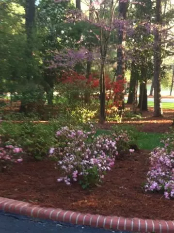 9025 Chantilly Road Spg, Spring Hope, NC 27882 photo 37