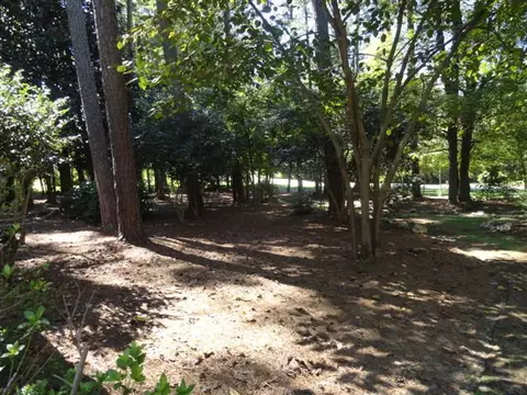9025 Chantilly Road Spg, Spring Hope, NC 27882 photo 35