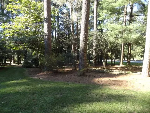 9025 Chantilly Road Spg, Spring Hope, NC 27882 photo 34