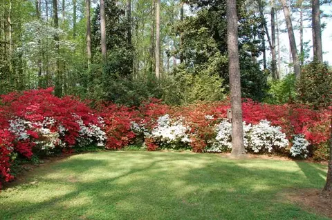 9025 Chantilly Road Spg, Spring Hope, NC 27882 photo 41
