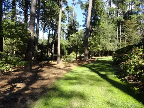 9025 Chantilly Road Spg, Spring Hope, NC 27882 photo 30