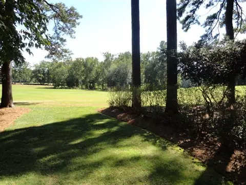 9025 Chantilly Road Spg, Spring Hope, NC 27882 photo 29