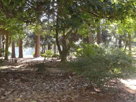 9025 Chantilly Road Spg, Spring Hope, NC 27882 photo 36
