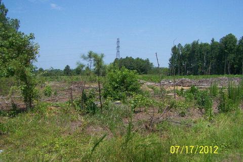 2026 Fenner Rd, Rocky Mount, NC 27804