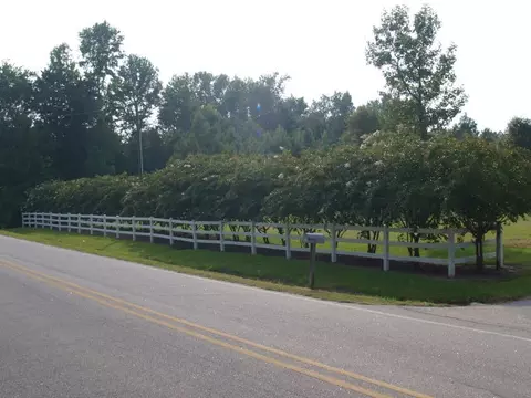 1940 S Nc Highway 231, Spring Hope, NC 27882 photo 14