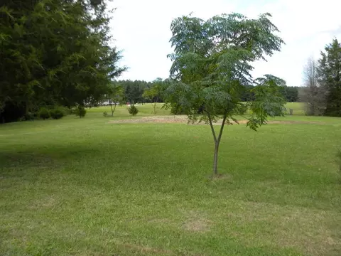 5356 Fire Tower Rd, Bailey, NC 27807 photo 3