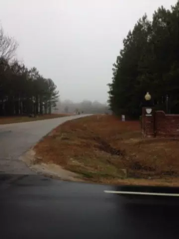 5786 Farmstead Rd, Bailey, NC 27807 photo 3