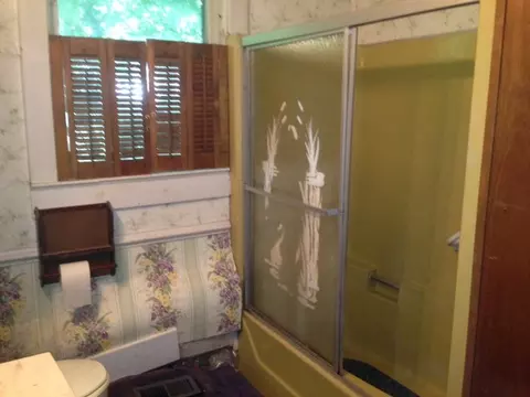 309 E Wilson St, Tarboro, NC 27886 photo 5