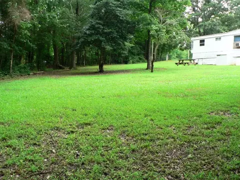 145 Robert Sledge Road Spg, Spring Hope, NC 27882 photo 6