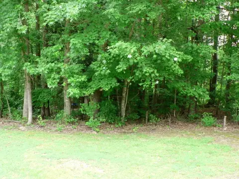 145 Robert Sledge Road Spg, Spring Hope, NC 27882 photo 3