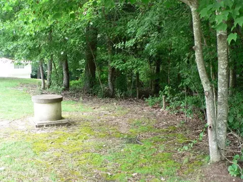 145 Robert Sledge Road Spg, Spring Hope, NC 27882 photo 4