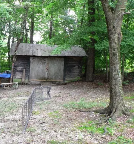 145 Robert Sledge Road Spg, Spring Hope, NC 27882 photo 9