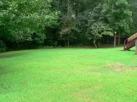 145 Robert Sledge Road Spg, Spring Hope, NC 27882 photo 5
