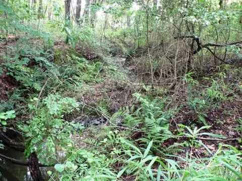 145 Robert Sledge Road Spg, Spring Hope, NC 27882 photo 7