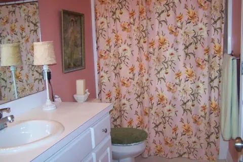 8125 Craig Ct, Bailey, NC 27807 photo 9