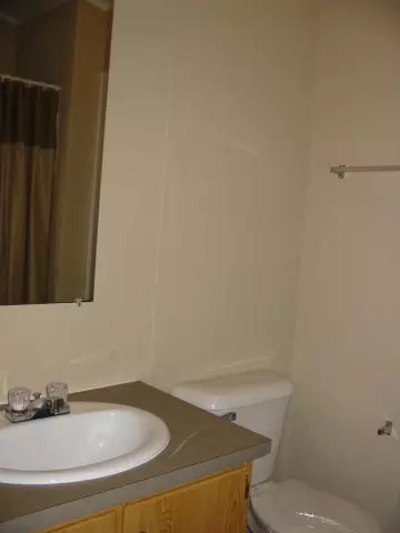 7458 Shallingtons Mill Rd, Macclesfield, NC 27852 photo 14
