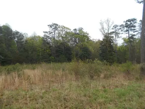 10410 Chestnut Ridge Rd, Bailey, NC 27807 photo 1