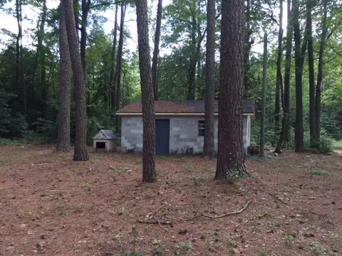 4797 Webbs Chapel Rd, Macclesfield, NC 27852 photo 21