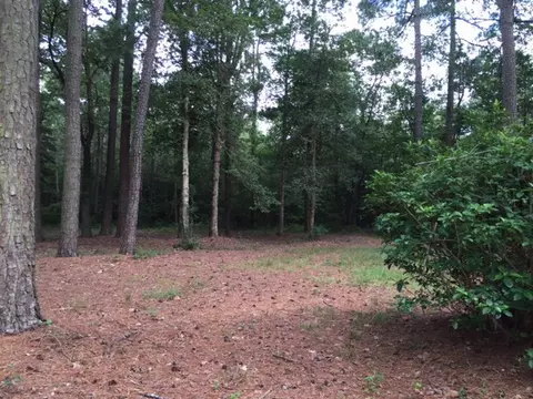 4797 Webbs Chapel Rd, Macclesfield, NC 27852 photo 22