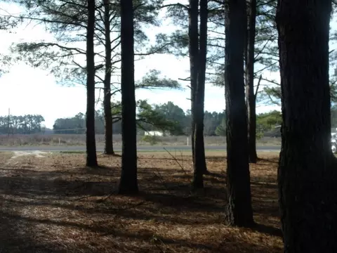 6961 Walters Rd, Gibson, NC 28343 photo 3