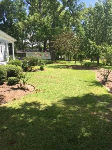 6080 Main St, Gibson, NC 28343 photo 12
