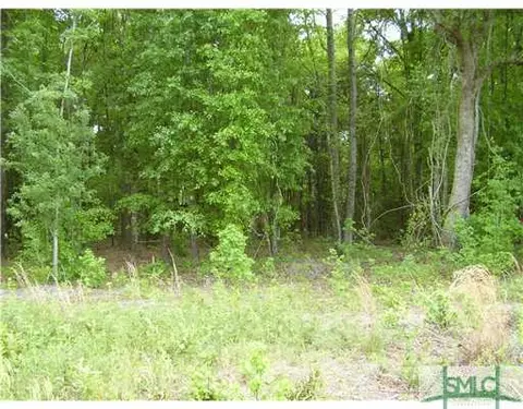 3470 Courthouse Rd, Guyton, GA 31312 photo 2