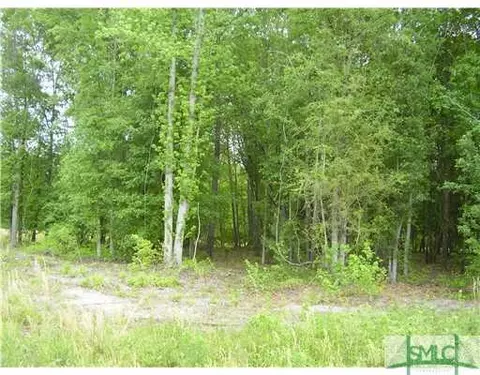 3470 Courthouse Rd, Guyton, GA 31312 photo 4