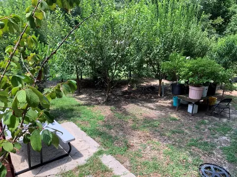 2229 Richards Rd, Augusta, GA 30906 photo 19