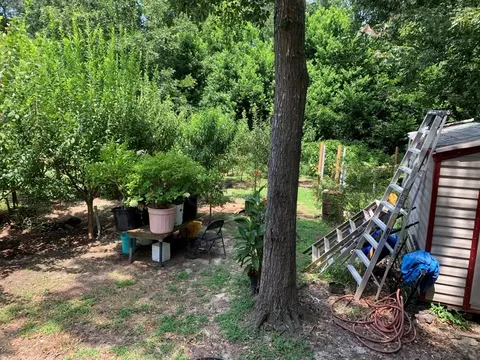 2229 Richards Rd, Augusta, GA 30906 photo 18