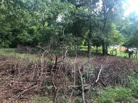 3362 Beaver Dr, Augusta, GA 30909 photo 13