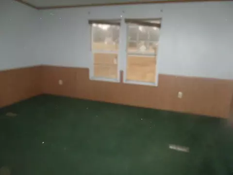 11555 Highway 296, Stapleton, GA 30823 photo 6