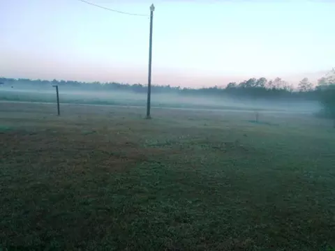 11555 Highway 296, Stapleton, GA 30823 photo 17