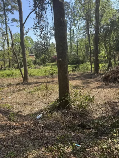 3044 Wheeler Rd, Augusta, GA 30909 photo 3