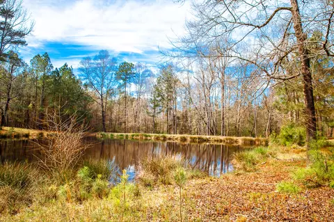 lot7 Mistletoe Rd, Appling, GA 30802 photo 9