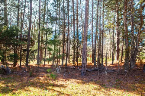 lot7 Mistletoe Rd, Appling, GA 30802