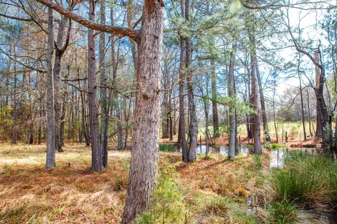 lot7 Mistletoe Rd, Appling, GA 30802 photo 8