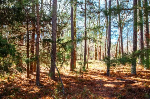lot7 Mistletoe Rd, Appling, GA 30802 photo 2