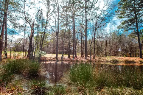 lot7 Mistletoe Rd, Appling, GA 30802 photo 6