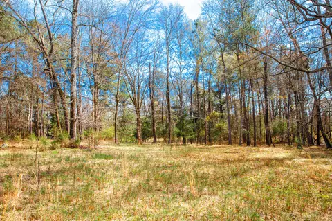 lot7 Mistletoe Rd, Appling, GA 30802 photo 5