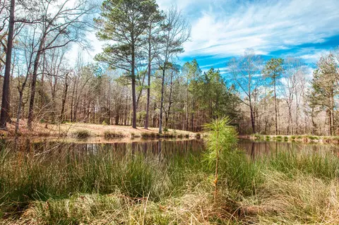 lot7 Mistletoe Rd, Appling, GA 30802 photo 7