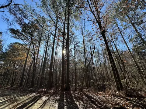 lot8 Saggus Rd, Washington, GA 30673