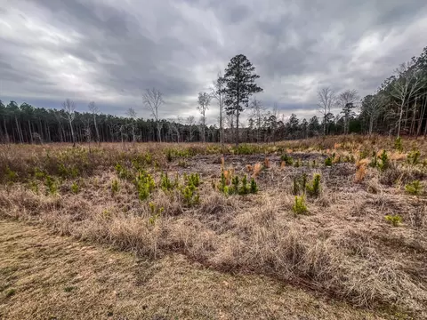 1016 Hidden Lake Ct, Lincolnton, GA 30817