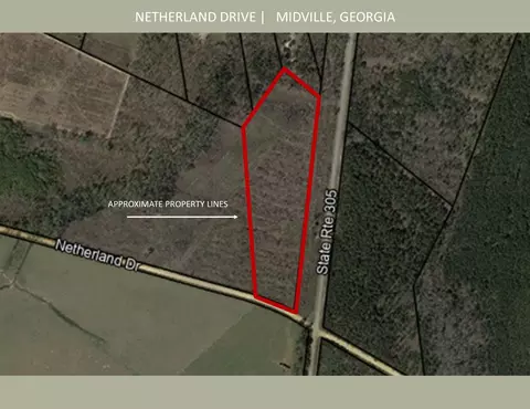 0 Netherland Dr, Midville, GA 30441
