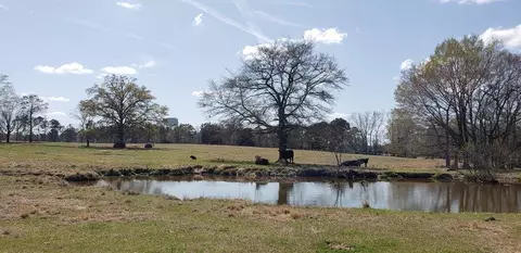 716 Augusta Rd, Edgefield, SC 29824
