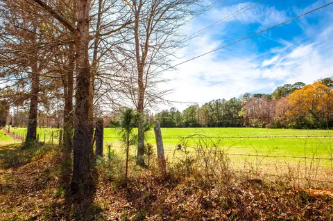 3530 Mistletoe Rd, Appling, GA 30802 photo 3