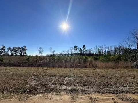 lot6 Triangle Rd, Louisville, GA 30434