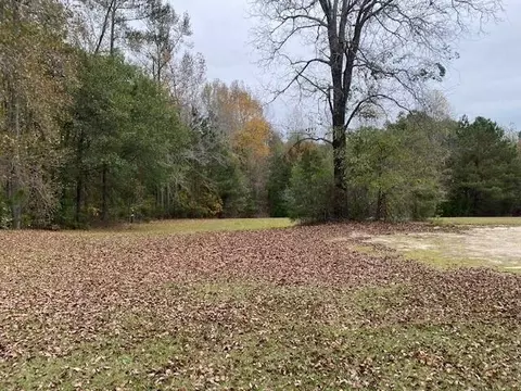 6384 Cobbham Rd, Appling, GA 30802