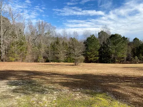 6384 Cobbham Rd, Appling, GA 30802 photo 3