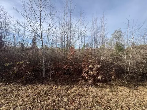 lot5 Hephzibah Church Rd, Lincolnton, GA 30817