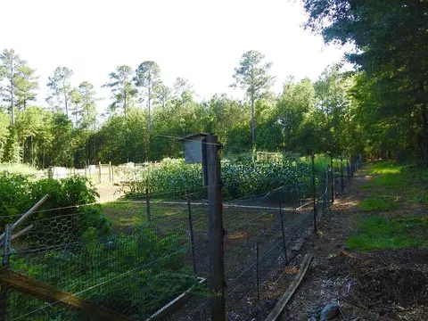 L13 B28 Monroe Lane, Mccormick, SC 29835 photo 22